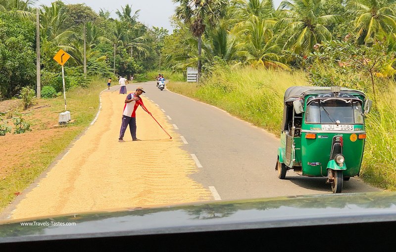 Sri Lanka rural road