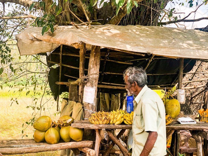 Roadside stall selling produce, Sri Lanka